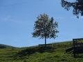 DSC01412