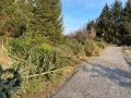 k-IMG_6161-1
