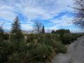 k-IMG_6170-1