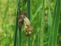 k-IMG_20230513_121932