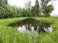 k-IMG_6707