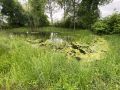 k-IMG_6709