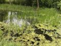 k-IMG_6710