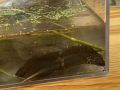 k-IMG_6718