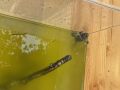 k-IMG_6719
