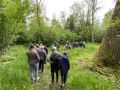 k-IMG_6760
