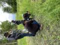 k-IMG_6764