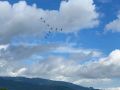k-IMG_7181-1