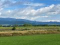 k-IMG_7183-1