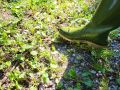 k-Bild1_2023-09-05