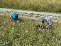 k-IMG_9368-1