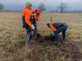 k-IMG_1494