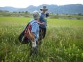 k-P1030581